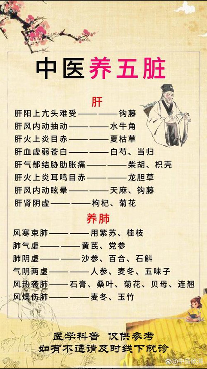 心理咨询：解读迷茫心灵的导航灯